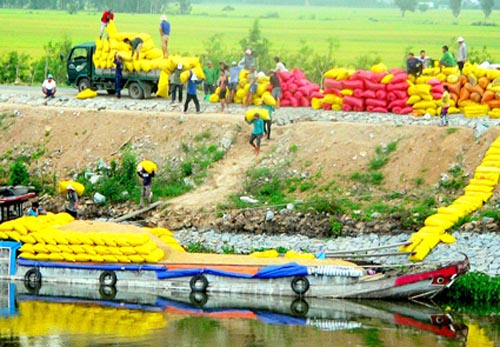 Bộ C&ocirc;ng Thương v&agrave; Bộ N&ocirc;ng nghiệp cho rằng lượng gạo xuất khẩu c&ograve;n 
