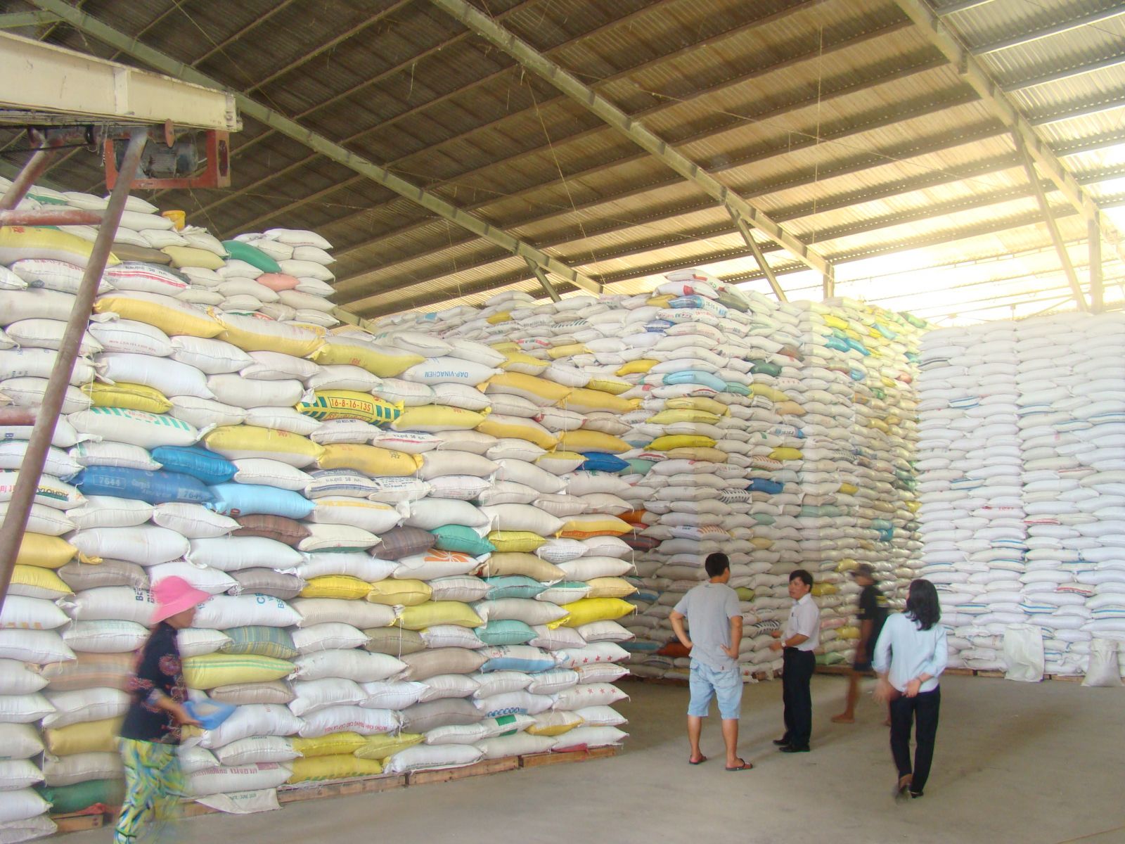 Giá gạo xuất khẩu tăng cao do cung không đủ cầu Giá gạo xuất khẩu tăng cao do cung không đủ cầu
