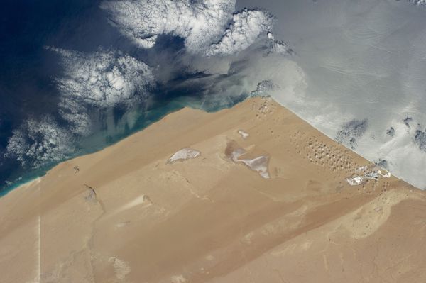Gió từ phía Bắc đã tạo nên hình ảnh tuyệt đẹp này tại sa mạc Sahara
