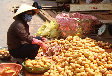 Khoai t&acirc;y Trung Quốc tr&agrave; trộn v&agrave; b&aacute;n tr&agrave;n lan tại chợ Đ&agrave; Lạt