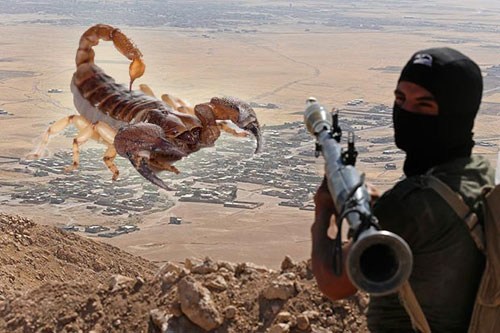 Khủng bố IS từng dội bom bọ cạp xuống Iraq Khủng bố IS từng dội bom bọ cạp xuống Iraq