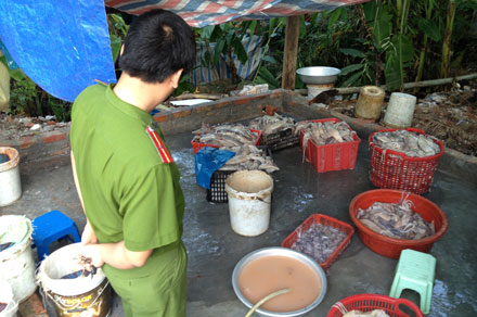 Kinh hoàng c&ocirc;ng ngh&ecirc;̣ bi&ecirc;́n mực th&ocirc;́i thành mực tươi 6