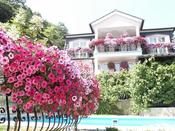 Vị tr&iacute; trồng hoa l&agrave; một trong những điều cần lưu &yacute; trong kỹ thuật trồng hoa