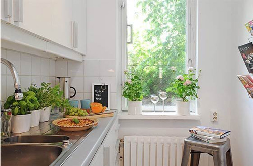 Trồng th&ecirc;m c&acirc;y xanh l&agrave; một c&aacute;ch l&agrave;m m&aacute;t nh&agrave; hơn trong m&ugrave;a h&egrave;