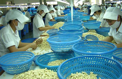 Những người thường l&agrave;m c&ocirc;ng việc lặp đi lặp lại như sao ch&eacute;p dữ liệu, bộ n&atilde;o c&oacute; xu hướng chậm chạp hơn khi về hưu