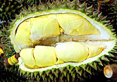 lợi bất cập hại từ tr&aacute;i sầu ri&ecirc;ng 1