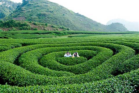 Địa điểm du lịch Tết Mai Ch&acirc;u đem lại cảm gi&aacute;c thanh b&igrave;nh cho du kh&aacute;ch