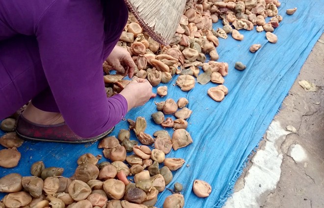 Ngo&agrave;i mứt b&iacute; đao l&agrave;m bằng chất tẩy trắng c&ograve;n c&oacute; cơ sở sản xuất &ocirc; mai bốc m&ugrave;i