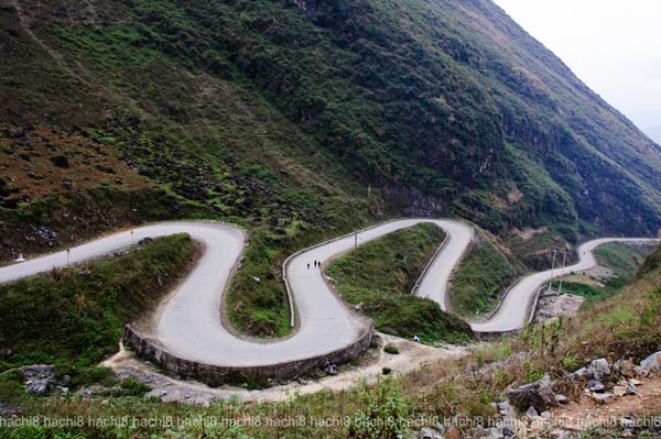 Sủng Là nổi tiếng với 