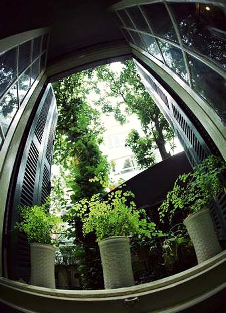 Bậc thềm rêu phong cùng những chậu cây cảnh xinh xắn, thấp thoáng sau ô cửa sổ rộng thoáng, đôi chỗ đã rêu mục nhưng rất sang trọng, kiêu kỳ, kết hợp với tiếng nhạc dịu dàng đâu đó từ góc vườn,'Chuồn Chuồn quán' khiến các đôi tình nhân tận hưởng một bầu không gian yên tĩnh, ngập tràn sức sống