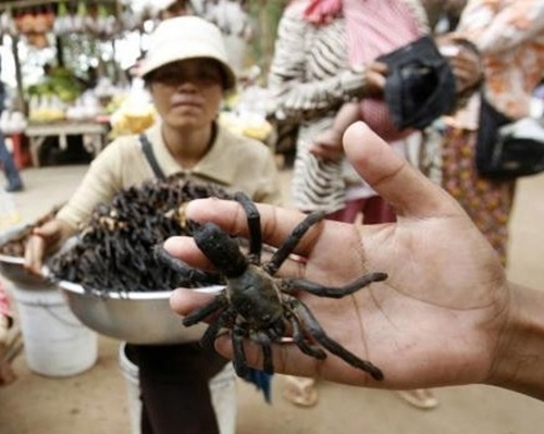 m&oacute;n ăn kinh dị