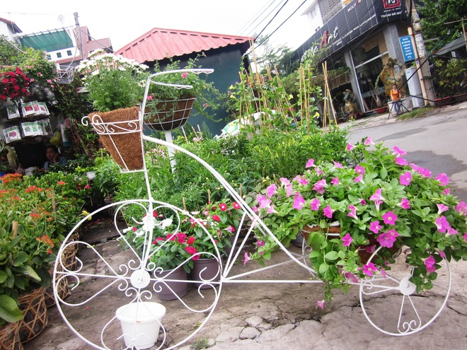 những th&uacute; vui h&aacute;i ra tiền