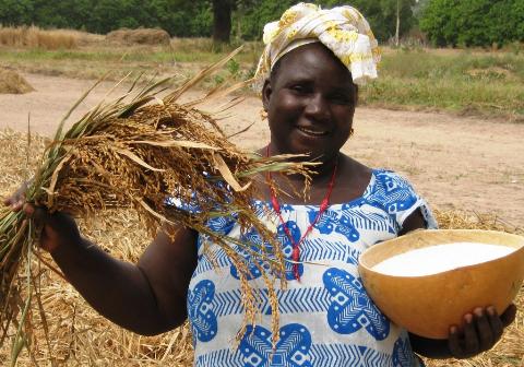 N&acirc;ng cao năng suất khiến n&ocirc;ng nghiệp Uganda tăng trưởng tốt