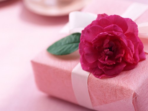 Một b&agrave;i h&aacute;t hay d&agrave;nh tặng người y&ecirc;u sẽ l&agrave; một lựa chọn tuyệt vời trong ng&agrave;y 8/3