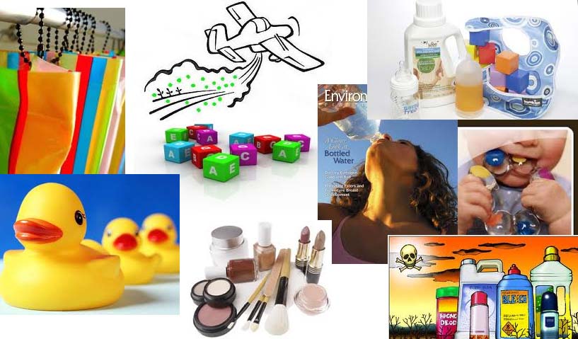 Phthalate l&agrave; 13Win21 con - Tri ân hội viên mỗi tháng 2000 tỷ thường thấy trong nhiều loại sản phẩm th&ocirc;ng dụng như sữa tắm, dầu gội,&hellip;