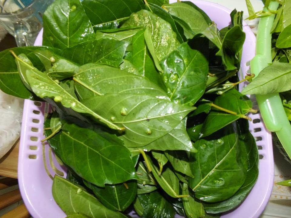 Quả sung chữa b&ecirc;̣nh và phòng ch&ocirc;́ng ung thư tuy&ecirc;̣t vời - ảnh 3