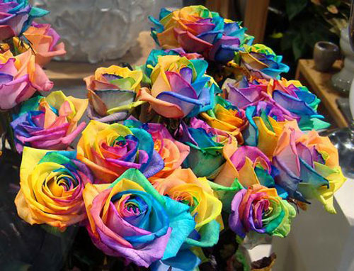 Hoa hồng 7 sắc - tượng trưng cho hạnh ph&uacute;c l&agrave; qu&agrave; tặng Valentine nhiều bạn trẻ lựa chọn