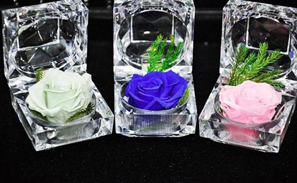 Hoa hồng vĩnh cửu c&oacute; thể giữ được độ tươi từ 2 đến 3 năm