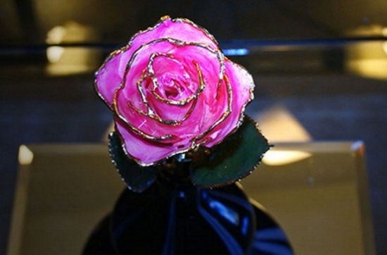 B&ocirc;ng hồng mạ v&agrave;ng viền c&aacute;nh lạ mắt đang trở th&agrave;nh qu&agrave; tặng Valentine được nhiều bạn trẻ săn l&ugrave;ng