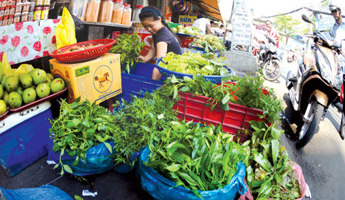 Rau rừng chưa chắc đ&atilde; đảm bảo an to&agrave;n