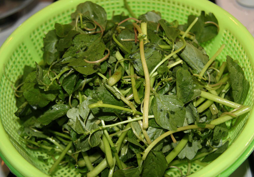 hạ nhiệt với canh cua rau dền 