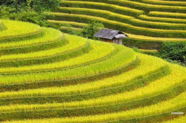 Khung cảnh giản đơn, yên bình nhưng luôn khiến những kẻ “bỏ phố lên rừng” mê mải ngắm nhìn không chán mắt