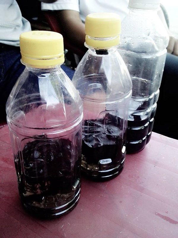 Rượu thuốc ng&acirc;m từ gốc c&acirc;y 