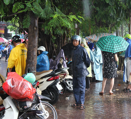 Một nguyên nhân nhỏ khác là thời tiết. Sau hơn 1 tuần mưa dầm, cả khu vực phía Bắc đã có nắng ấm nên khách du lịch di chuyển lên phía vùng núi phía Bắc là phù hợp với thời tiết đẹp.