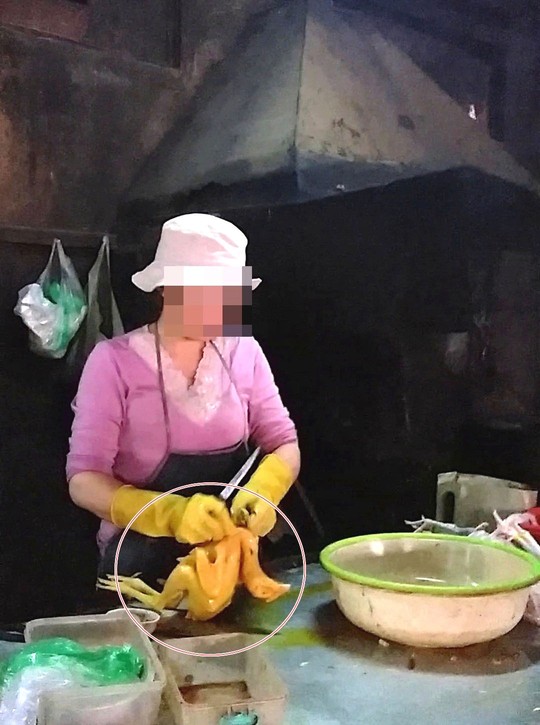 Vịt, g&agrave; nhuộm 13Win21 con - Tri ân hội viên mỗi tháng 2000 tỷ tr&ocirc;ng đẹp mắt hơn