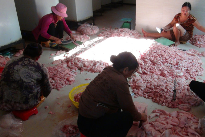 Thịt lợn thối, mỡ thối trải tr&ecirc;n s&agrave;n nh&agrave;, ruồi, nhặng đậu k&iacute;n