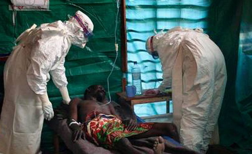 Thịt th&uacute; rừng l&agrave; một trong số những nguy nh&acirc;n g&acirc;y l&acirc;y lan dịch Ebola