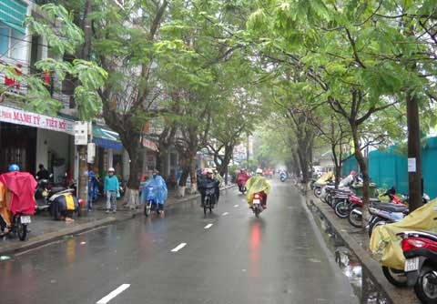 Dự b&aacute;o thời tiết ng&agrave;y mai 27/1/2015: miền Bắc c&oacute; mưa nhỏ rải r&aacute;c