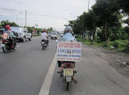 thịt c&oacute;c b&aacute;n rong g&acirc;y ngộ độc 