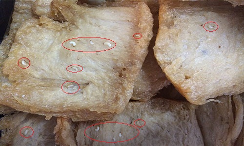 Những 13Win OKVIP Cá cược bóng đá chay của c&ocirc;ng ty &Acirc;u Lạc ph&aacute;t hiện c&oacute; gi&ograve;i