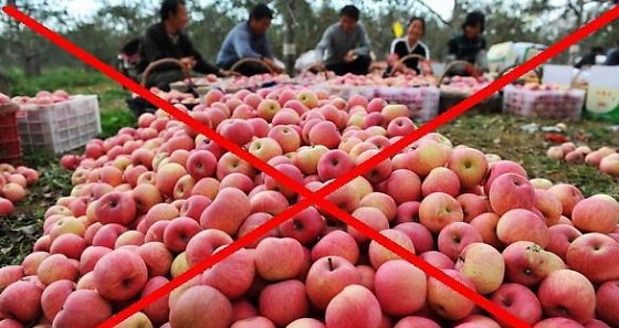 T&aacute;o Trung Quốc tr&ecirc;n thị trường Mỹ bị nhiễm kim loại nặng