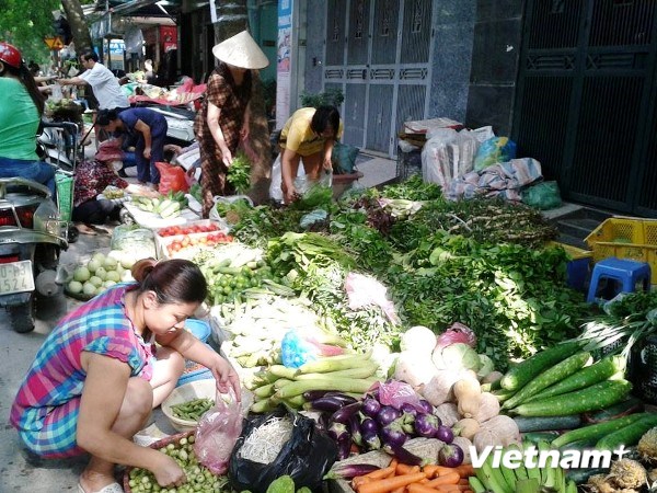 Rau xanh thường khan hiếm hoặc tăng gi&aacute; mạnh trong m&ugrave;a mưa b&atilde;o