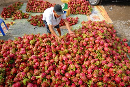Ch&acirc;u &Acirc;u cảnh c&aacute;o cấm nhập khẩu rau, quả VN