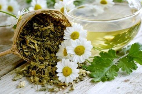 Tr&agrave; thảo dược chứa chất g&acirc;y ung thư rất nguy hiểm cho trẻ em v&agrave; phụ nữ c&oacute; thai