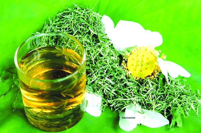 Một số tr&agrave; thảo dược chứa th&agrave;nh phần độc hại