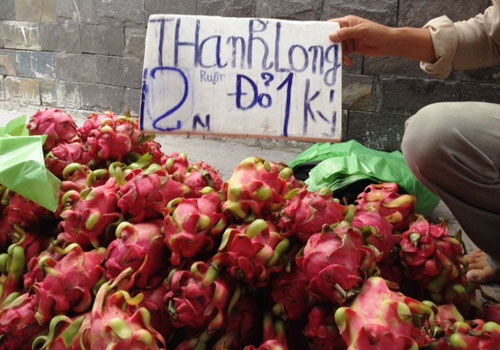 Thanh long ruột đỏ trước rất &iacute;t xuất hiện tr&ecirc;n kệ, gi&aacute; cao, nay c&ograve;n 12.000-15.000 đồng một kg