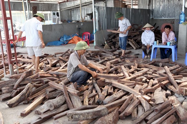 tr&ugrave;m x&atilde; hội đen lập trạm c&acirc;n 