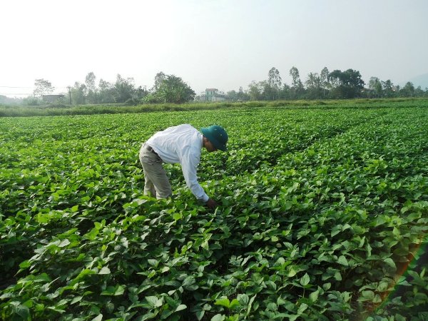 Trung Quốc cần đẩy nhanh năng suất n&ocirc;ng nghiệp đ&atilde; bị đ&igrave;nh trệ 
