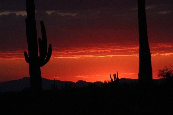 Hoàng hôn trên sa mạc Arizona, Mỹ. 
