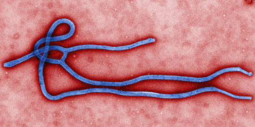 Virus Ebola