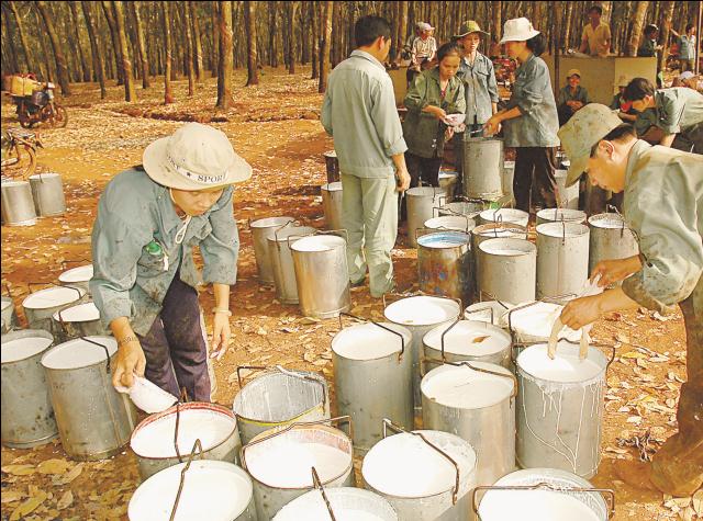 Xuất khẩu n&ocirc;ng sản Việt đ&atilde; c&oacute; tư duy đổi mới r&otilde; r&agrave;ng v&agrave; quyết liệt hơn