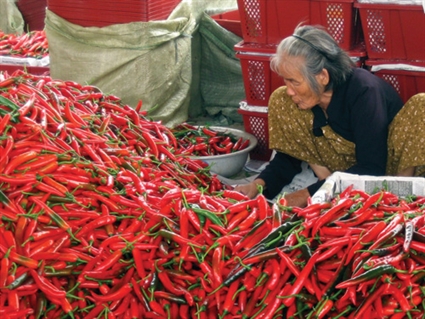 Kh&oacute; khăn sẽ c&ograve;n đeo b&aacute;m xuất khẩu n&ocirc;ng sản của nước ta tới cuối năm nay