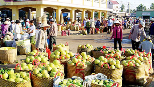 Nhiều mặt h&agrave;ng n&ocirc;ng sản xuất khẩu sang Trung Quốc của ch&uacute;ng ta đ&atilde; giảm mạnh