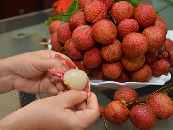 Trẻ em kh&ocirc;ng n&ecirc;n ăn qu&aacute; 6 quả vải mỗi ng&agrave;y