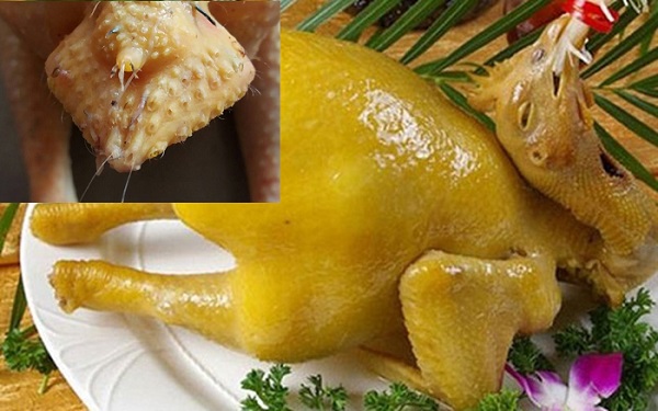  Phao c&acirc;u g&agrave; l&agrave; bộ phận cực bẩn tuyệt đối kh&ocirc;ng n&ecirc;n ăn. 