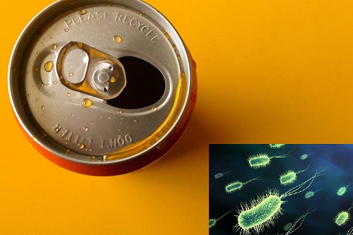  Uống bia bằng lon rất c&oacute; thể nhiễm vi khuẩn. 